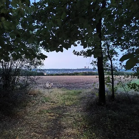Urlaub im Erholungsgebiet der Dörenther Klippen Ibbenbüren Exterior foto