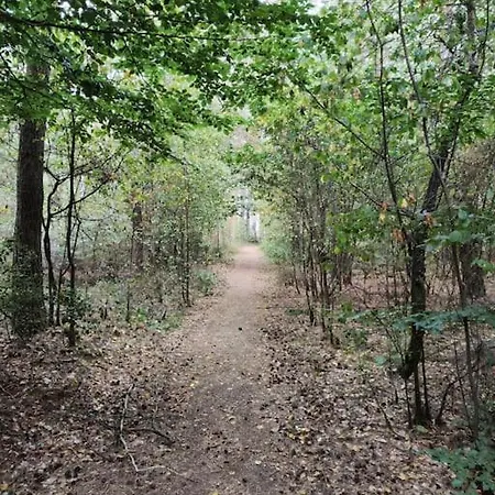Urlaub im Erholungsgebiet der Dörenther Klippen Ibbenbüren Exterior foto