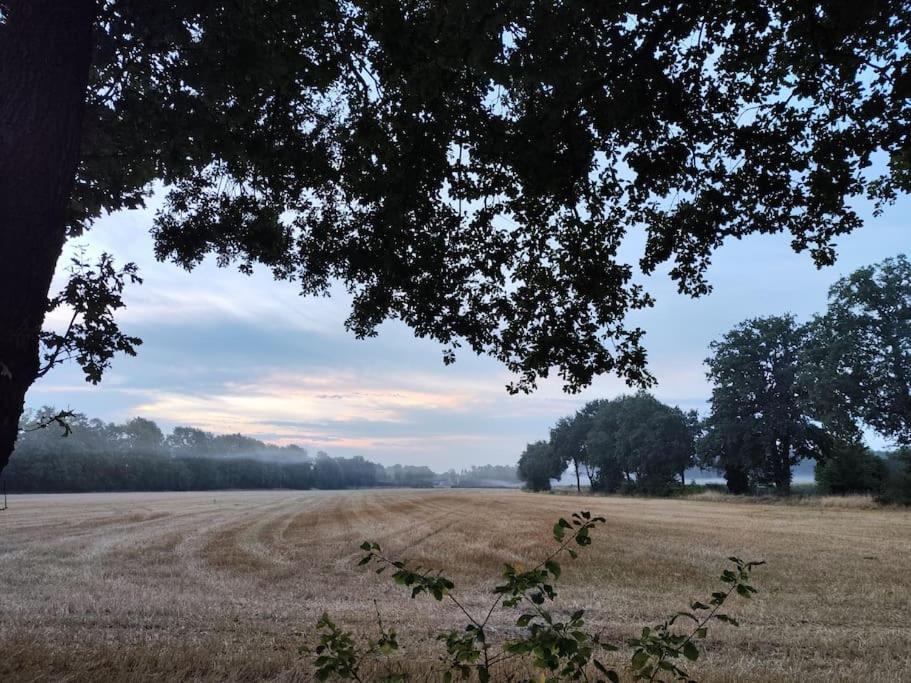 Urlaub Im Erholungsgebiet Der Dörenther Klippen * Ibbenbüren
