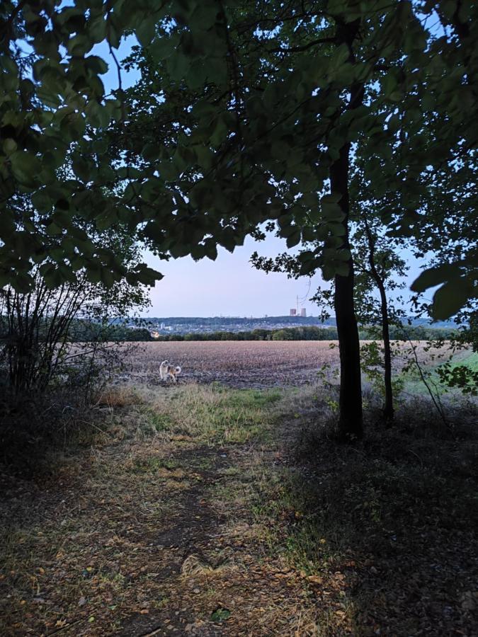Urlaub Im Erholungsgebiet Der Dörenther Klippen Apartment Ibbenbüren