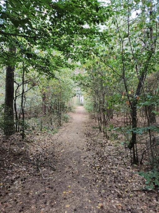 Urlaub Im Erholungsgebiet Der Dörenther Klippen Ibbenbüren
