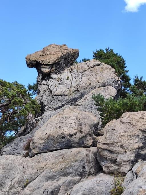 Apartment Urlaub Im Erholungsgebiet Der Dörenther Klippen Ibbenbüren